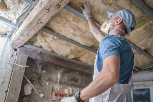 Best Insulation Materials and Products in Geneva, AL