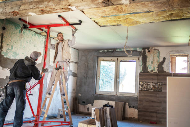 Best Insulation Installation Services in Geneva, AL
